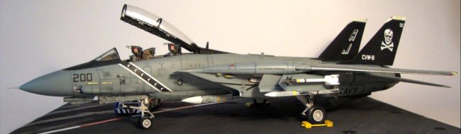 アルパカ様 1 1/48 Hasegawa F-14A Tomcat by Alexander Gromov aka Sanchez