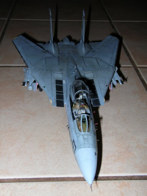 1/48 Hasegawa F-14B Tomcat by Alexander Sidharta