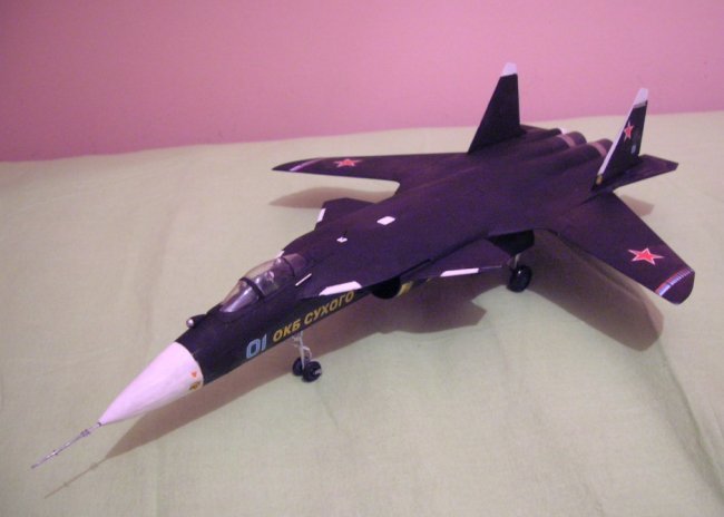 アイドルマスター1/72 Su-47 BERKUT & F-14D TOMCAT Amazon.com: 1/72 F-14D Tomcat The Idolmaster Miura Azusa