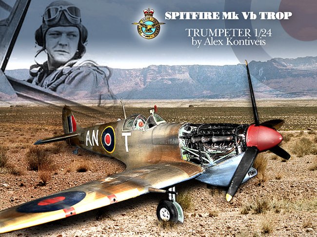 1/24 Trumpeter Spitfire Mk Vb Trop by Alex Kontiveis